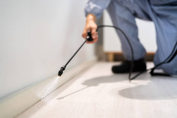 Licensed Rodent Control service in Conneaut, OH - Nex Pest Control