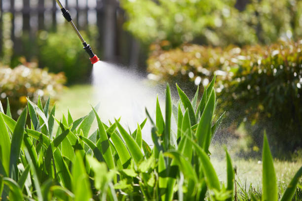 24/7 Emergency Rodent Control experts in Conneaut, OH