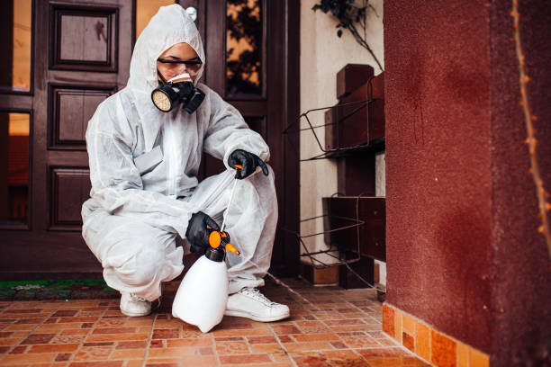 Reliable Rodent Control contractor in Conneaut, OH by Nex Pest Control