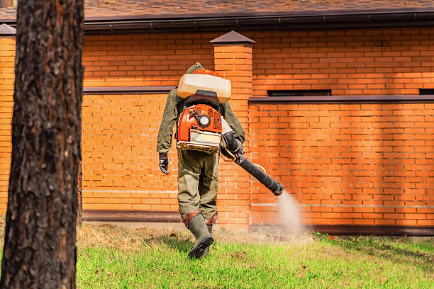 Trusted Rodent Control service in Conneaut, OH - Nex Pest Control